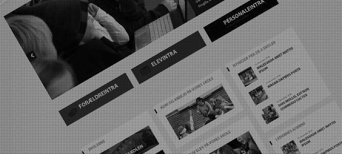 espergærde skole webdesign